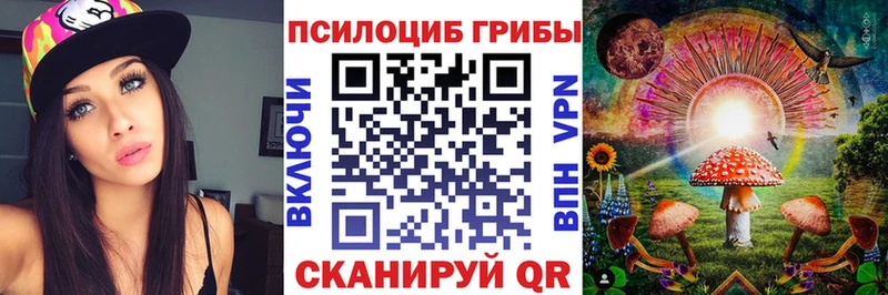 купить наркотики сайты  Урюпинск  Псилоцибиновые грибы мицелий 
